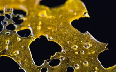 The Key Differences Between Popular Concentrates